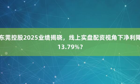 东莞控股2025业绩揭晓，线上实盘配资视角下净利降13.79%？