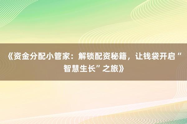 《资金分配小管家：解锁配资秘籍，让钱袋开启“智慧生长”之旅》