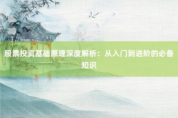 股票投资基础原理深度解析：从入门到进阶的必备知识