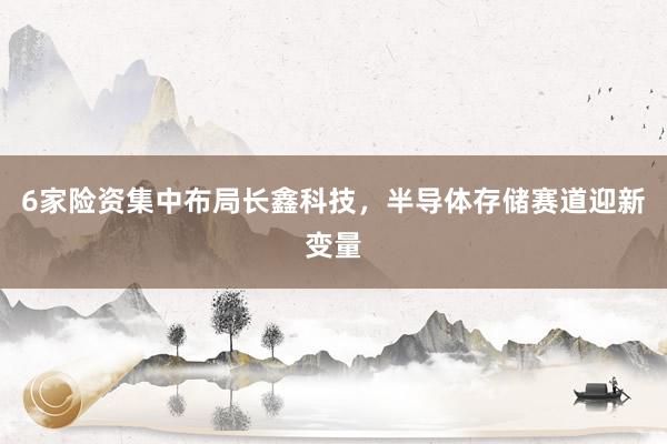 6家险资集中布局长鑫科技，半导体存储赛道迎新变量